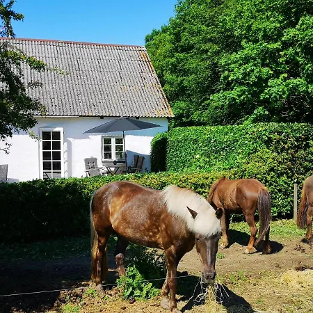 Apartamento Edelslund - Country